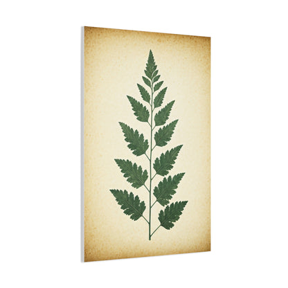 Vintage Fern Study Wall Art & Canvas Prints