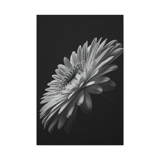 Angled Bloom with Bud Detail Wall Art & Canvas Prints