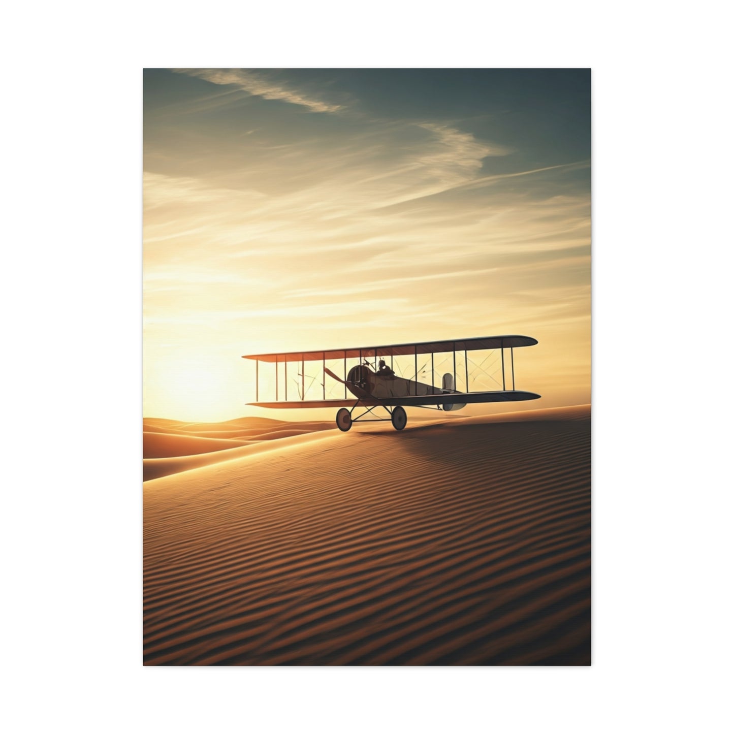 Desert Dawn Biplane Flight Wall Art & Canvas Prints