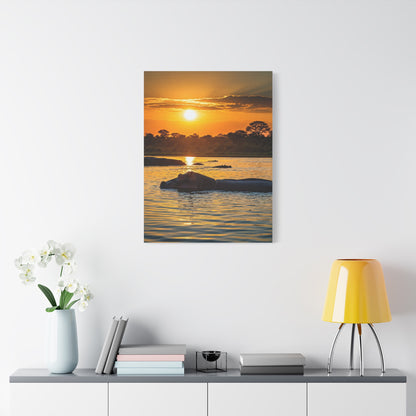 Hippo Resting at Sunset Waters Wall Art & Canvas Prints