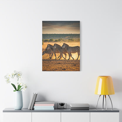Zebra Duo Walking Across the Savannah Wall Art & Canvas Prints