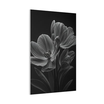 Dual Magnolia Elegance Wall Art & Canvas Prints