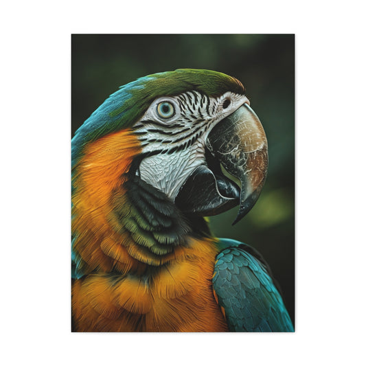 Blue and Gold Macaw Portrait Wall Art & Canvas Prints