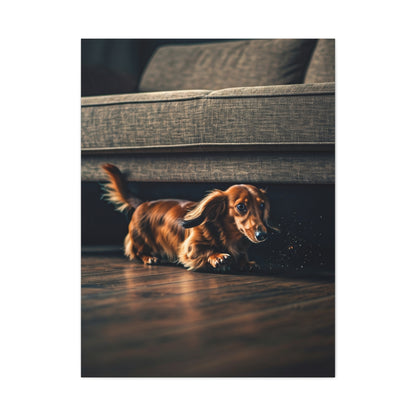 Playful Dash Dachshund Wall Art & Canvas Print