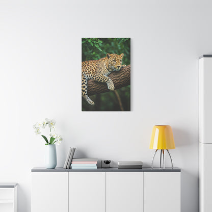 Leopard Resting in Jungle Canopy Wall Art & Canvas Prints