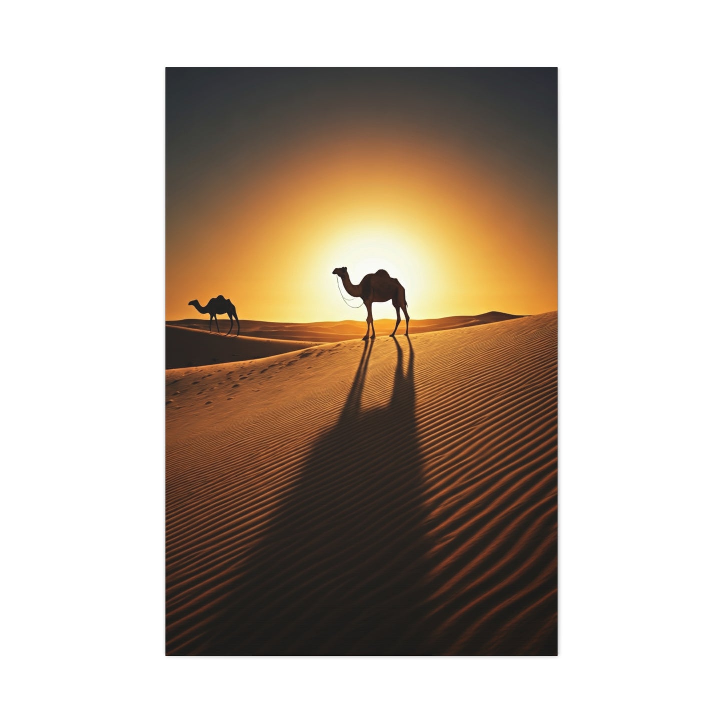Lone Camel in Desert Sunset Wall Art & Canvas Prints