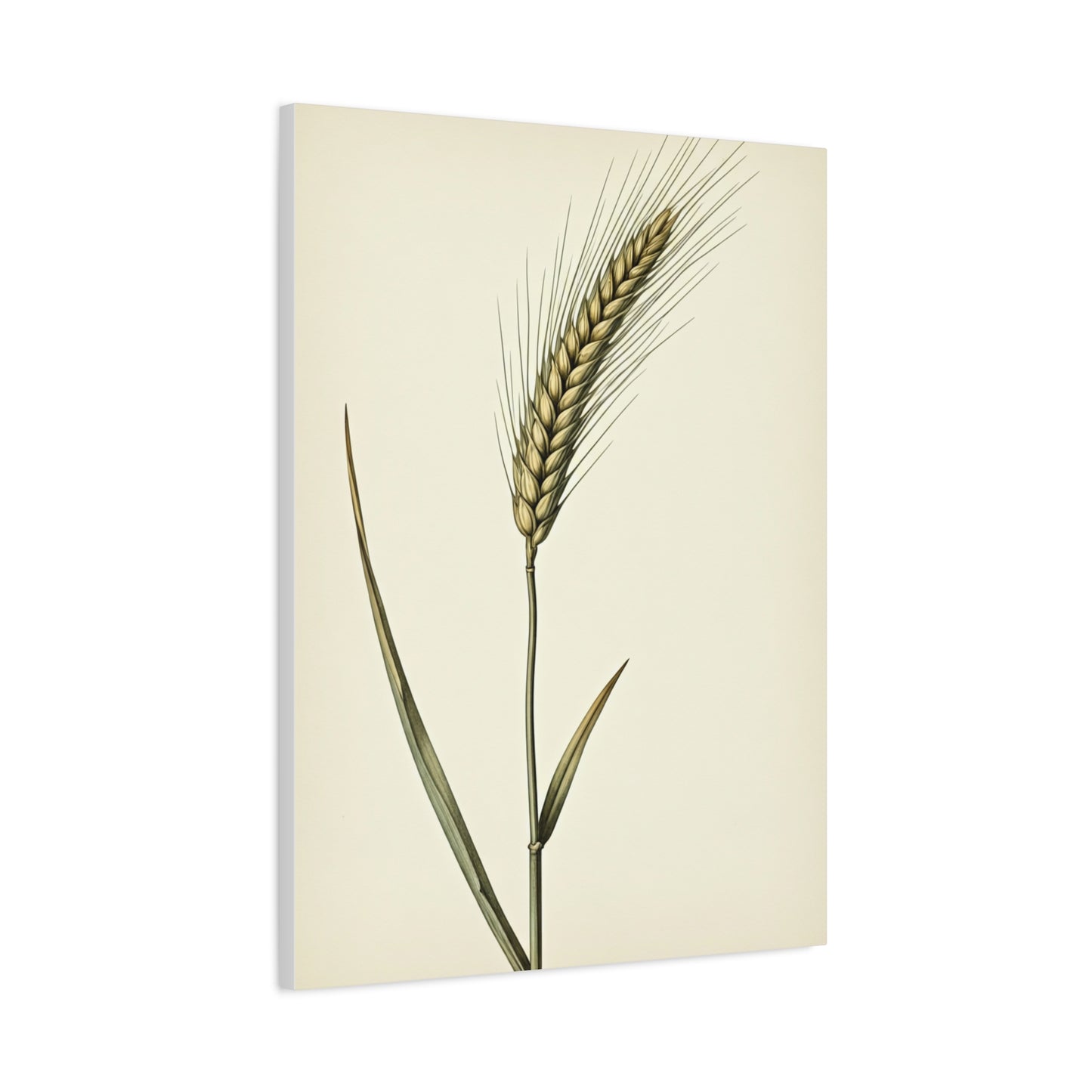 Golden Grain Stem Illustration Wall Art & Canvas Prints