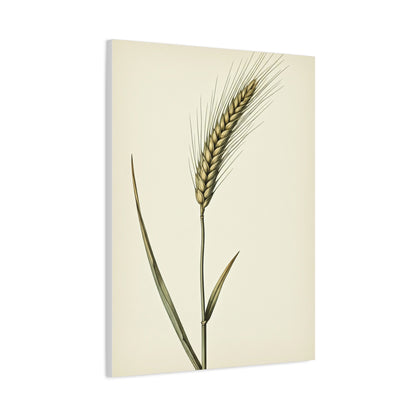 Golden Grain Stem Illustration Wall Art & Canvas Prints