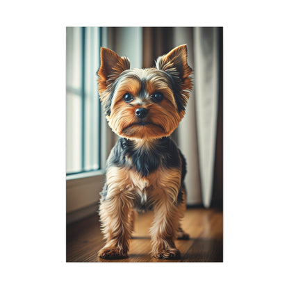 Window Light Yorkie Portrait Wall Art & Canvas Print