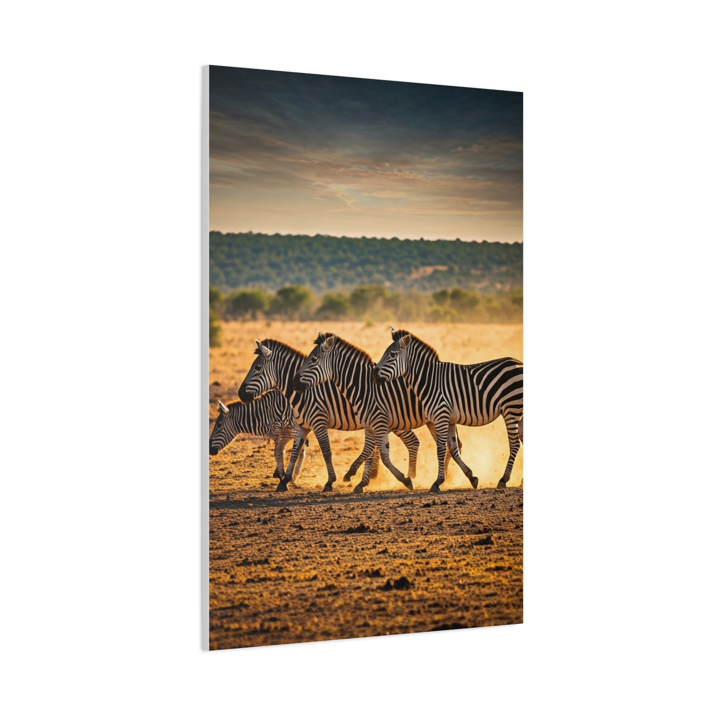 Zebra Duo Walking Across the Savannah Wall Art & Canvas Prints