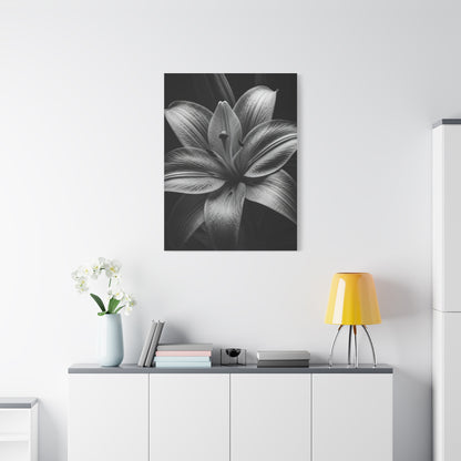 Monochrome Lily Bloom Wall Art & Canvas Prints