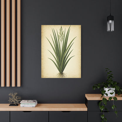 Wild Grass Illustration Wall Art & Canvas Prints
