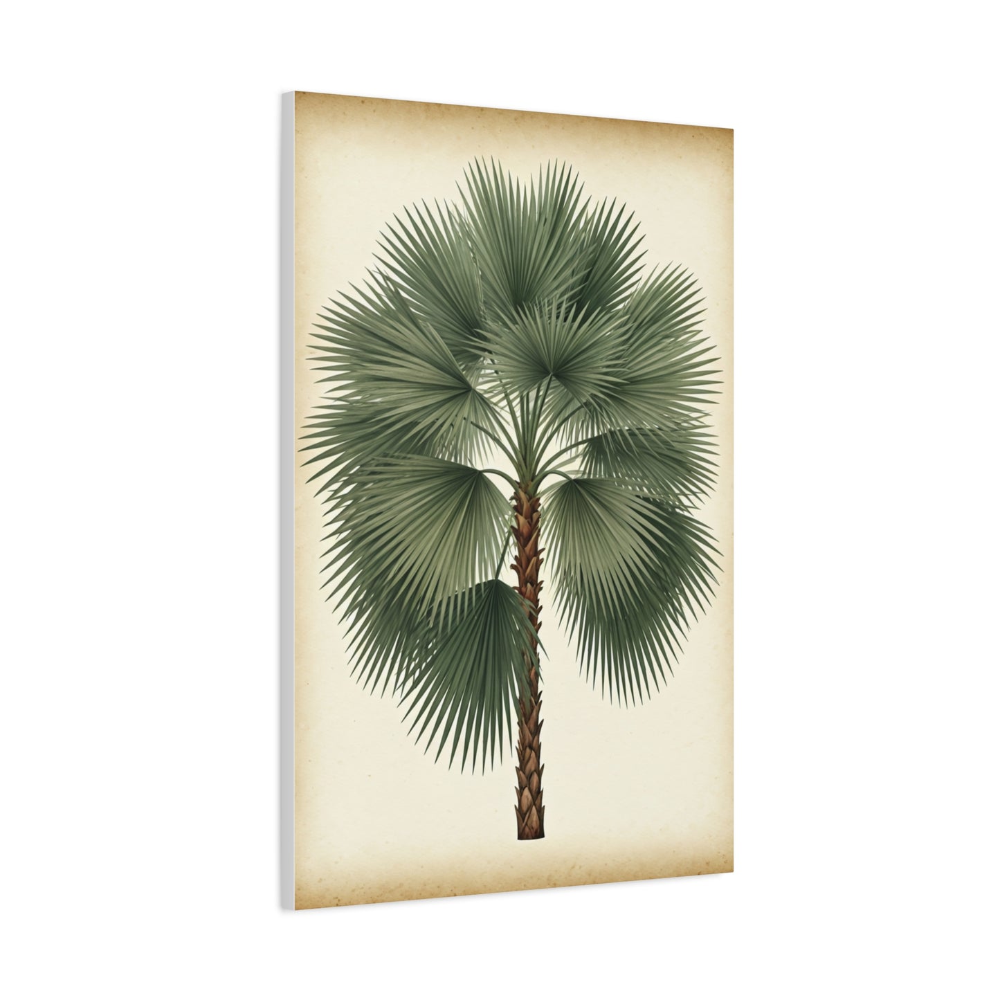 Fan Palm Leaf Tree Illustration Wall Art & Canvas Prints