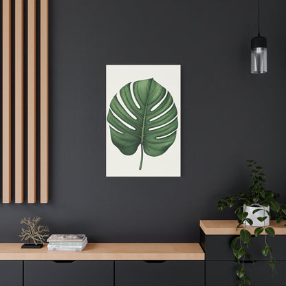Monstera Leaf Illustration Wall Art & Canvas Prints