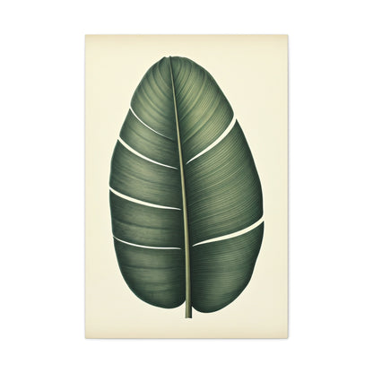Tropical Leaf Study Illustration Wall Art & Canvas Prints