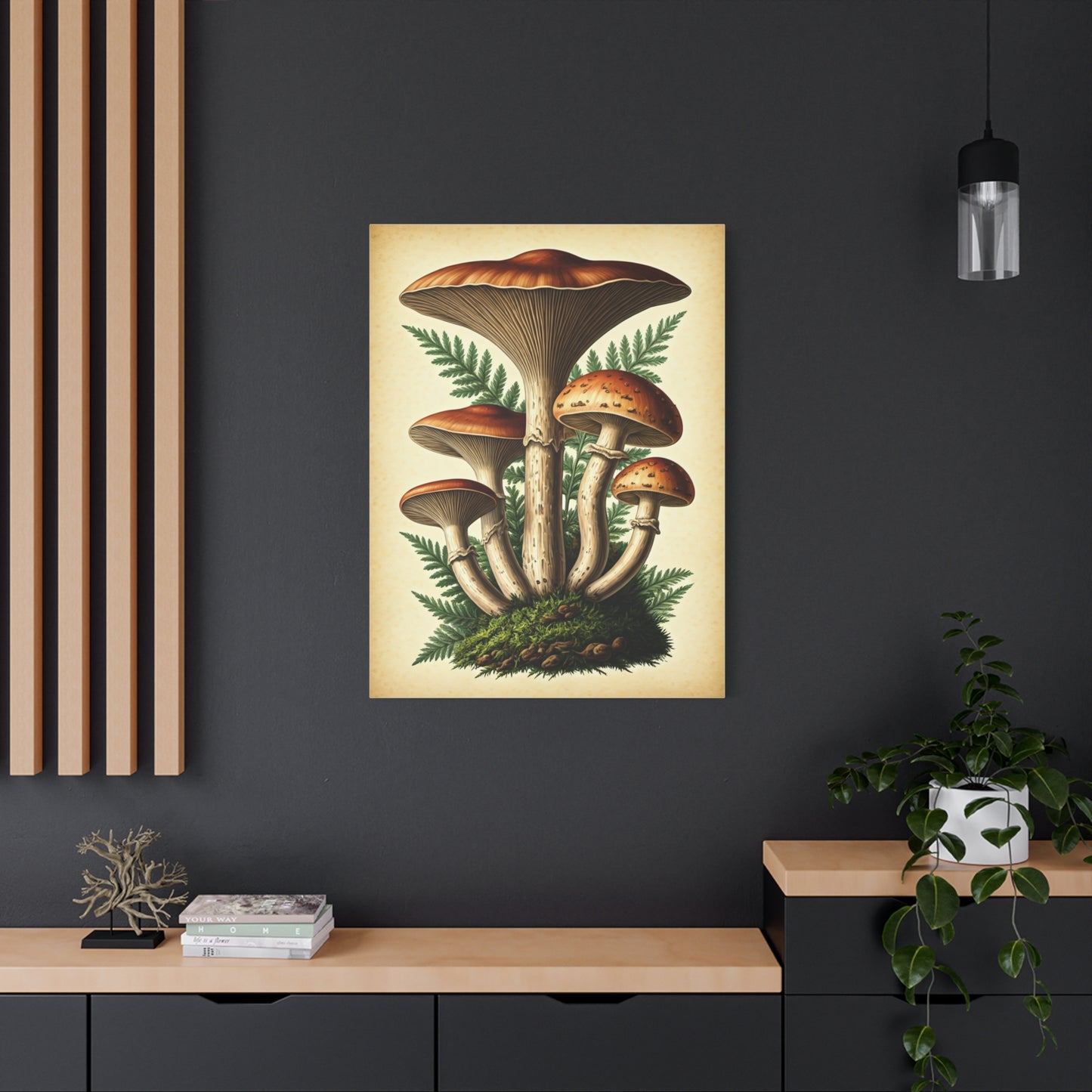 Mushroom Illustration Collection Wall Art & Canvas Prints