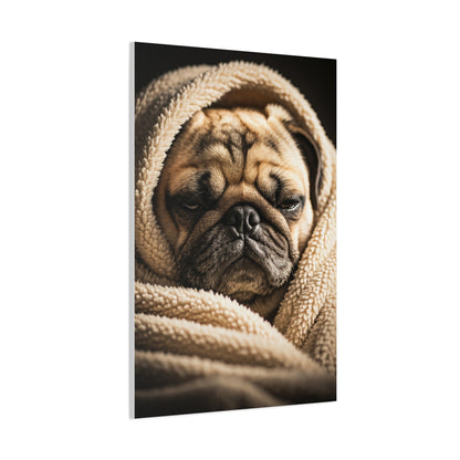 Wrapped in Warmth Pug Wall Art & Canvas Print