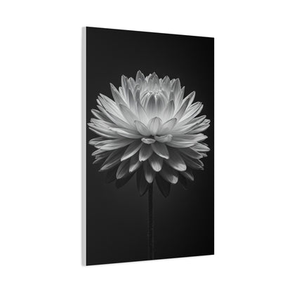 Symmetrical Dahlia Bloom Wall Art & Canvas Prints