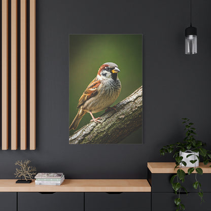Charming Sparrow Close-Up Wall Art & Canvas Prints