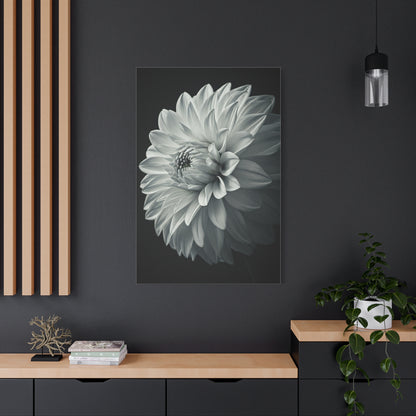 Silver Dahlia Blossom Wall Art & Canvas Prints