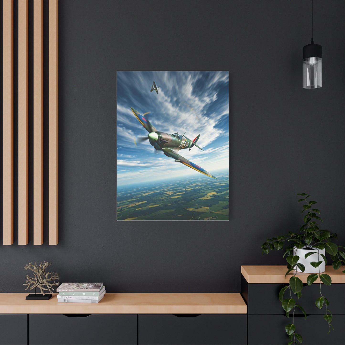 Vintage Warbird Flight Over Open Fields Wall Art & Canvas Prints