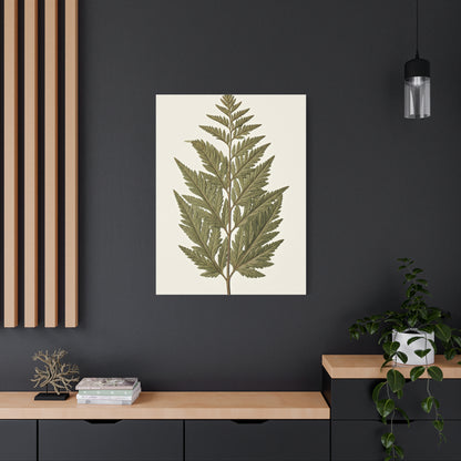 Classic Fern Illustration Wall Art & Canvas Prints