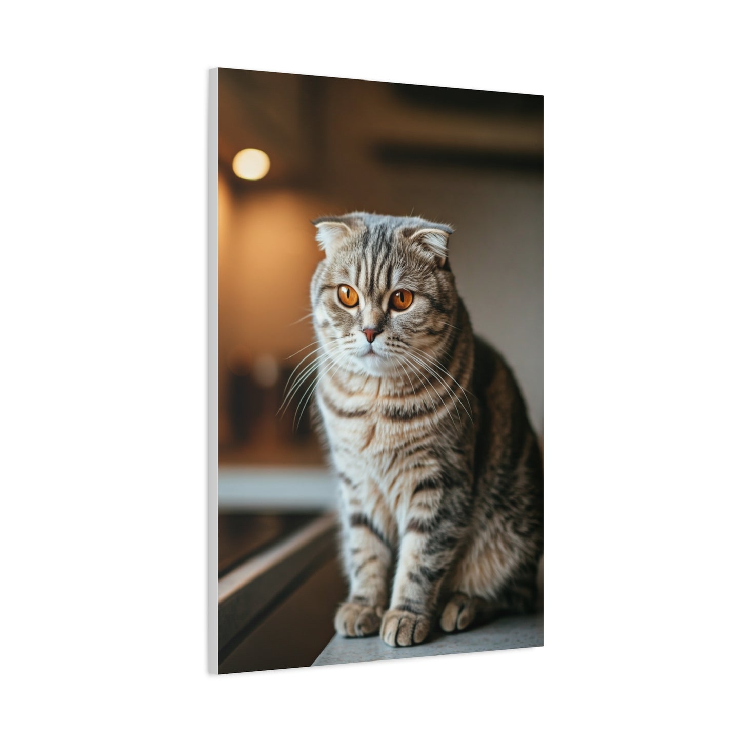Golden Gaze Cat Wall Art & Canvas Prints