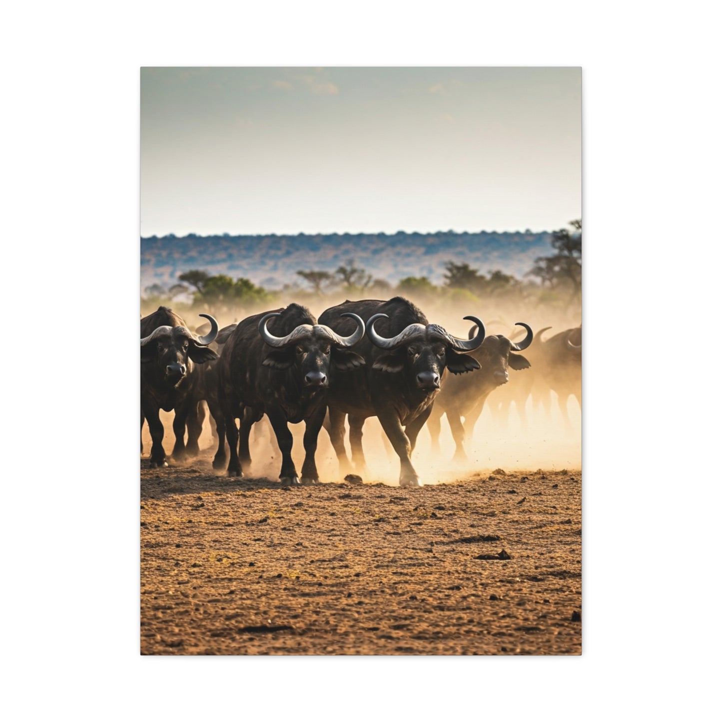 Wild Buffalo Herd in Dusty Savannah Wall Art & Canvas Prints