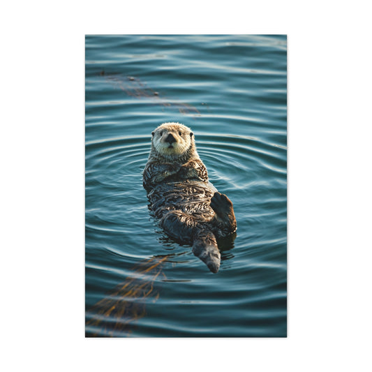 Otter Floating on Water Wall Art & Canvas Prints
