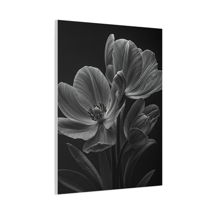 Dual Magnolia Elegance Wall Art & Canvas Prints
