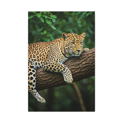 Leopard Resting in Jungle Canopy Wall Art & Canvas Prints