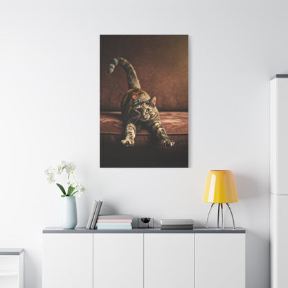 Stretching Tabby Cat Wall Art & Canvas Prints