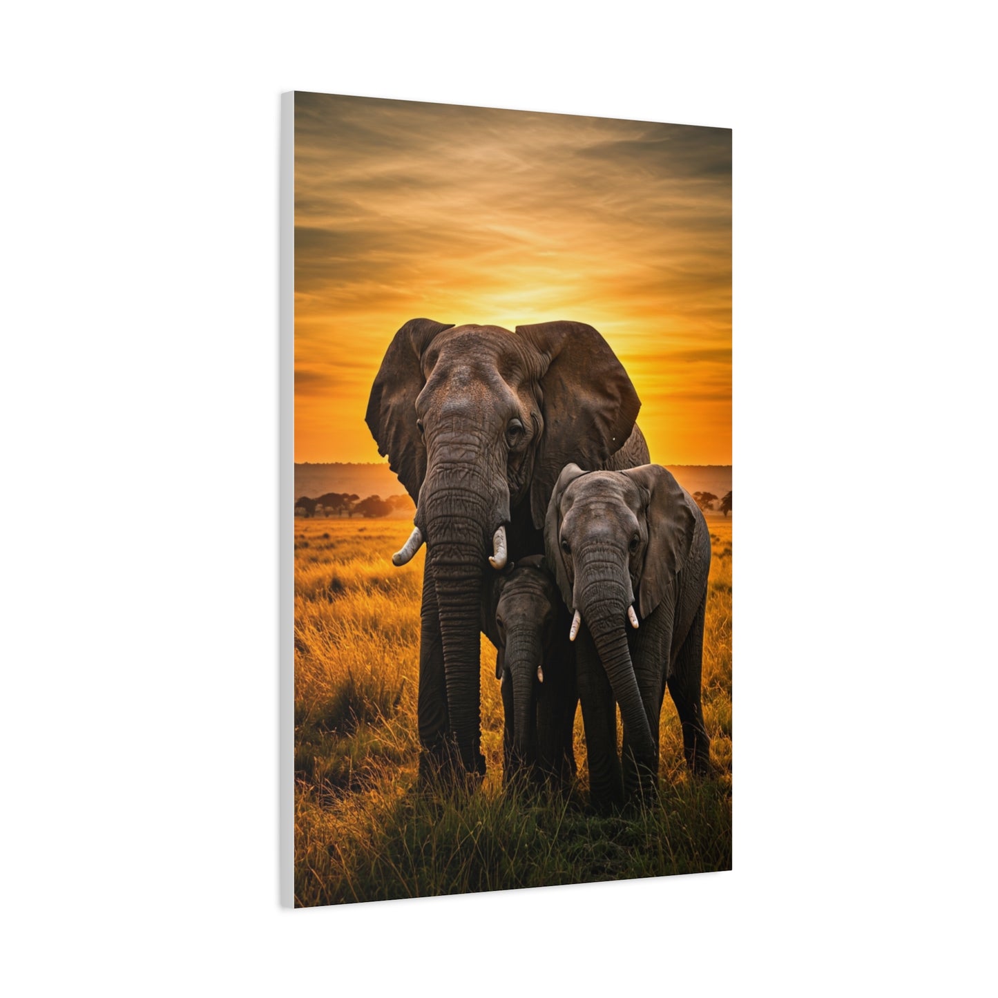 Elephant Companions Wall Art & Canvas Prints