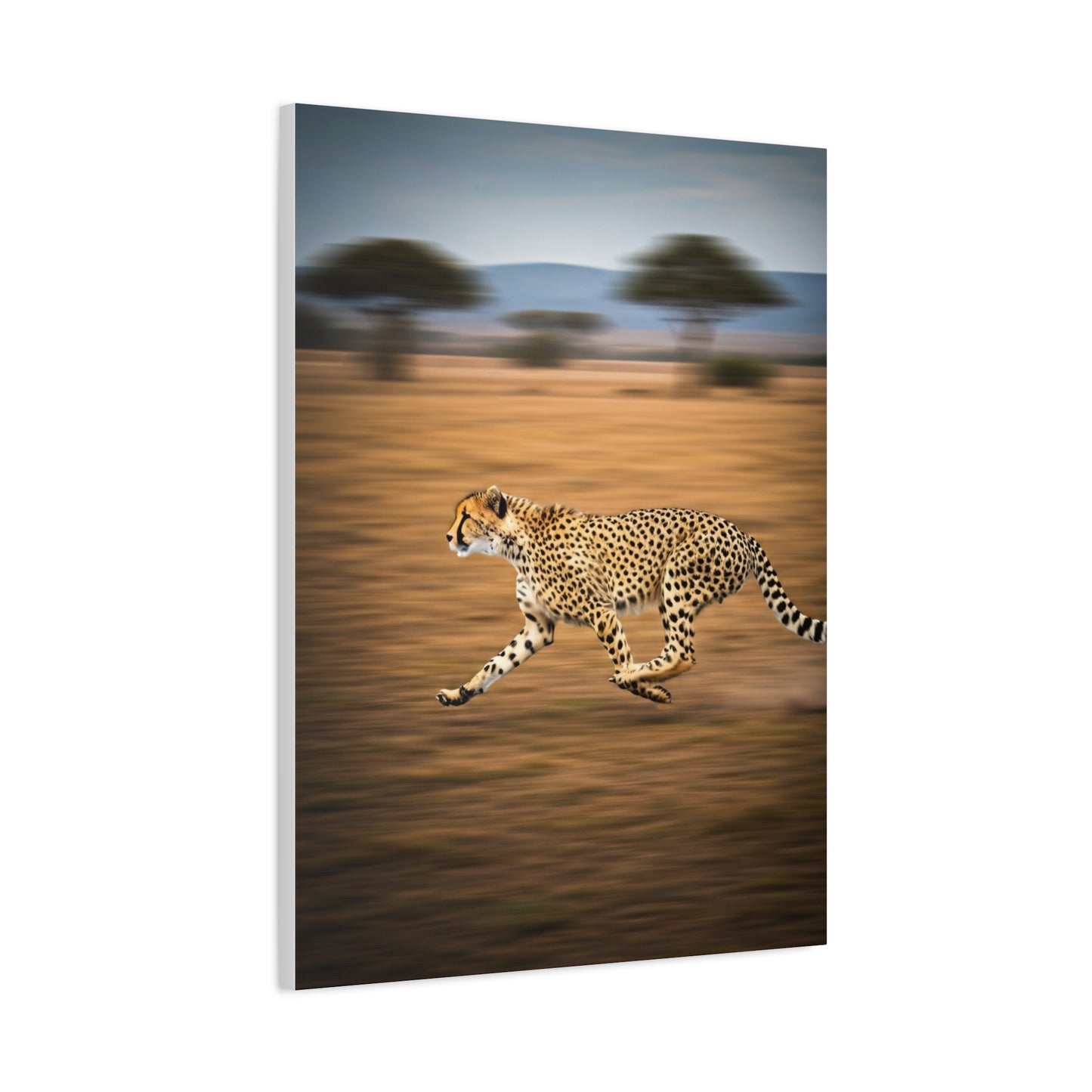 Cheetah Sprint Across the Desert Plains Wall Art & Canvas Prints