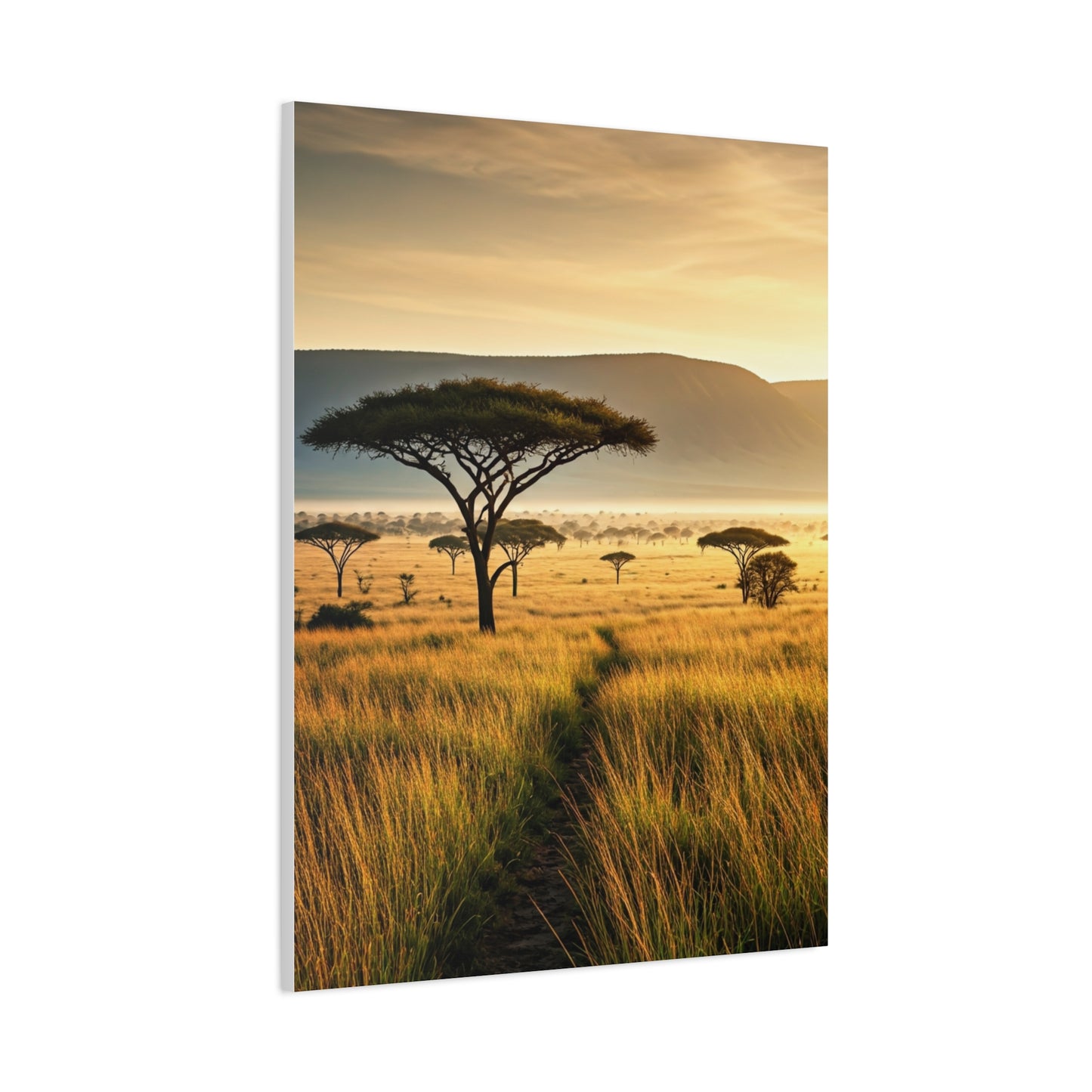 Golden Savannah Acacia Tree Horizon Wall Art & Canvas Prints
