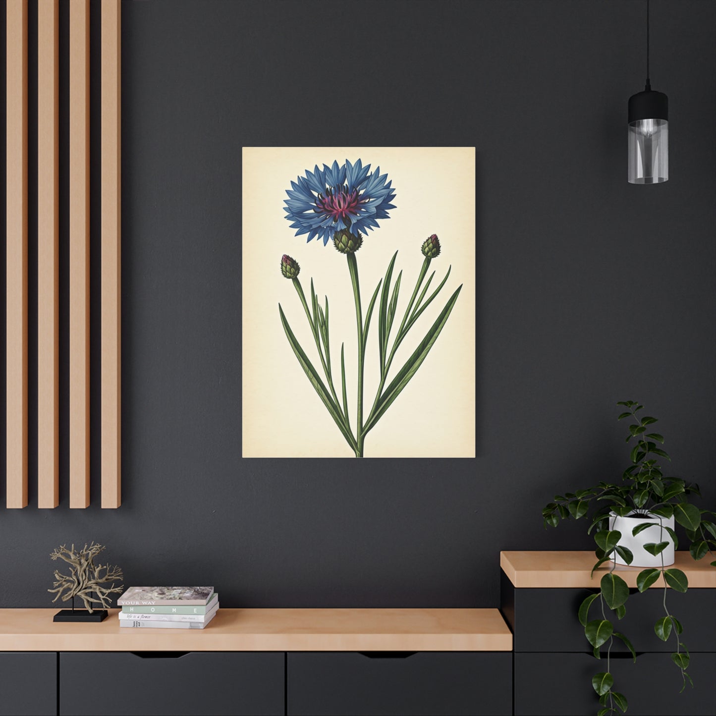 Cornflower Wildflower Illustration Wall Art & Canvas Prints