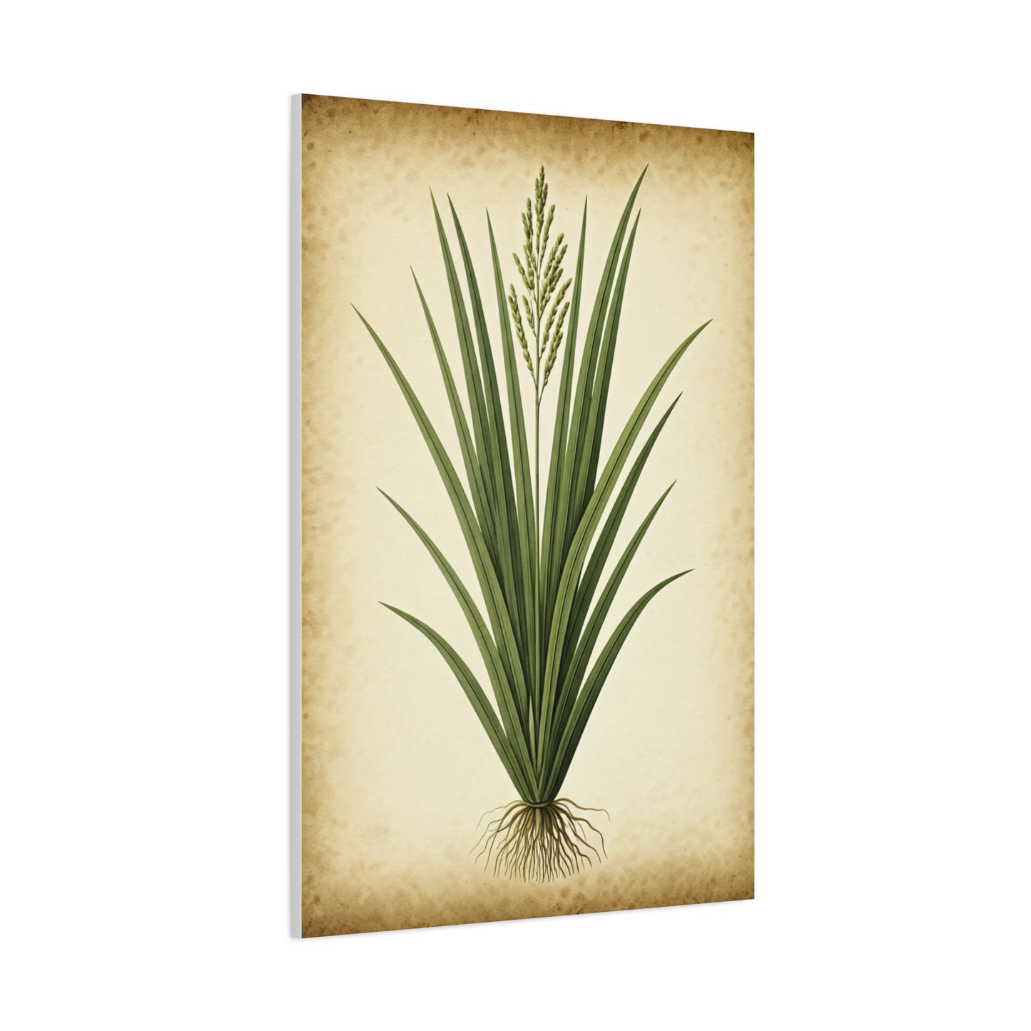 Wild Grass Illustration Wall Art & Canvas Prints