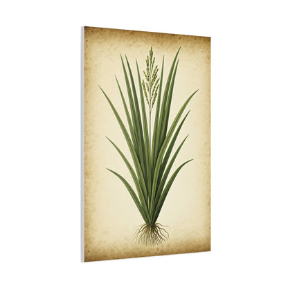 Wild Grass Illustration Wall Art & Canvas Prints