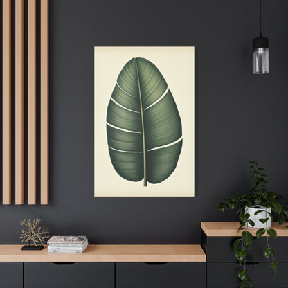 Tropical Leaf Study Illustration Wall Art & Canvas Prints