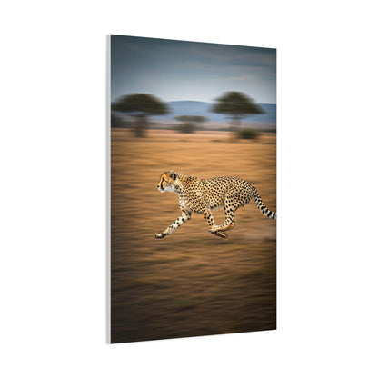 Cheetah Sprint Across the Desert Plains Wall Art & Canvas Prints