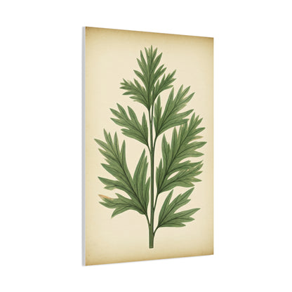 Botanical Herb Study Vintage Wall Art & Canvas Prints