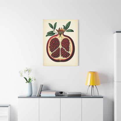 Pomegranate Cross Section Illustration Wall Art & Canvas Prints