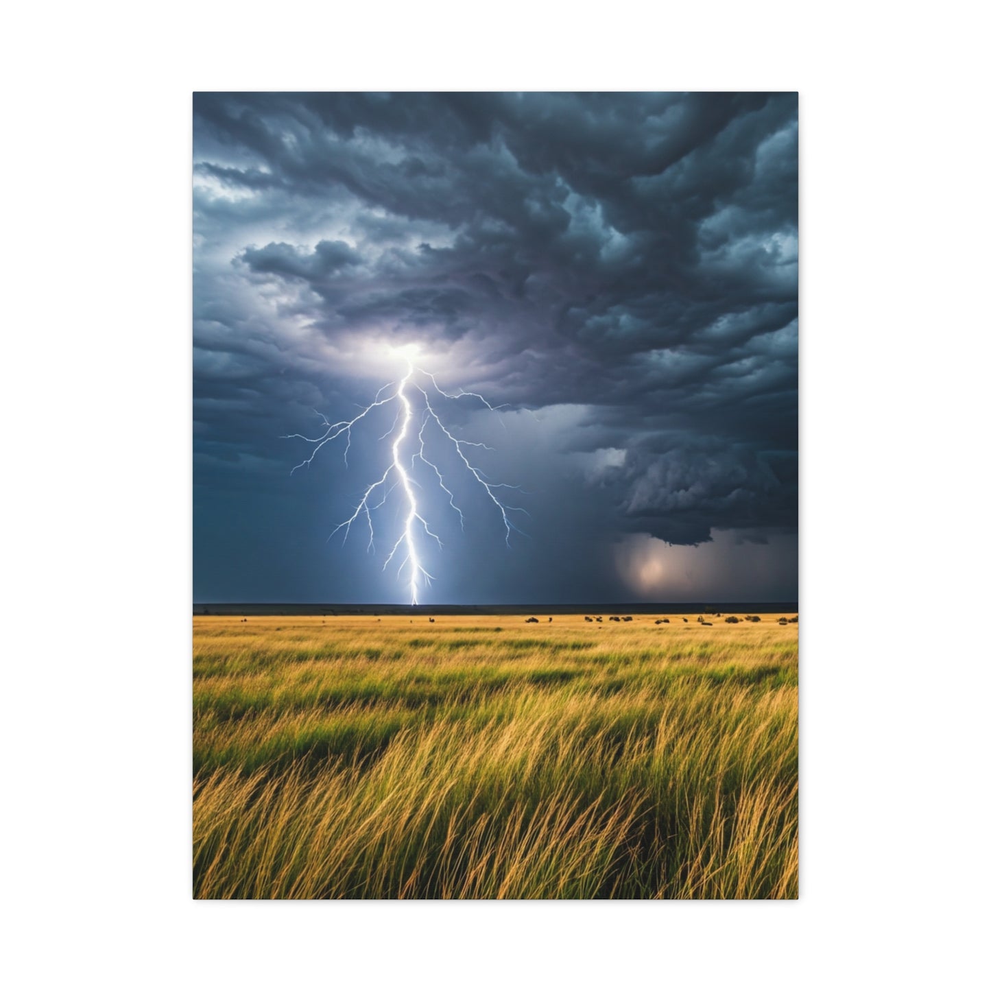 Lightning Storm Over Golden Plains Wall Art & Canvas Prints