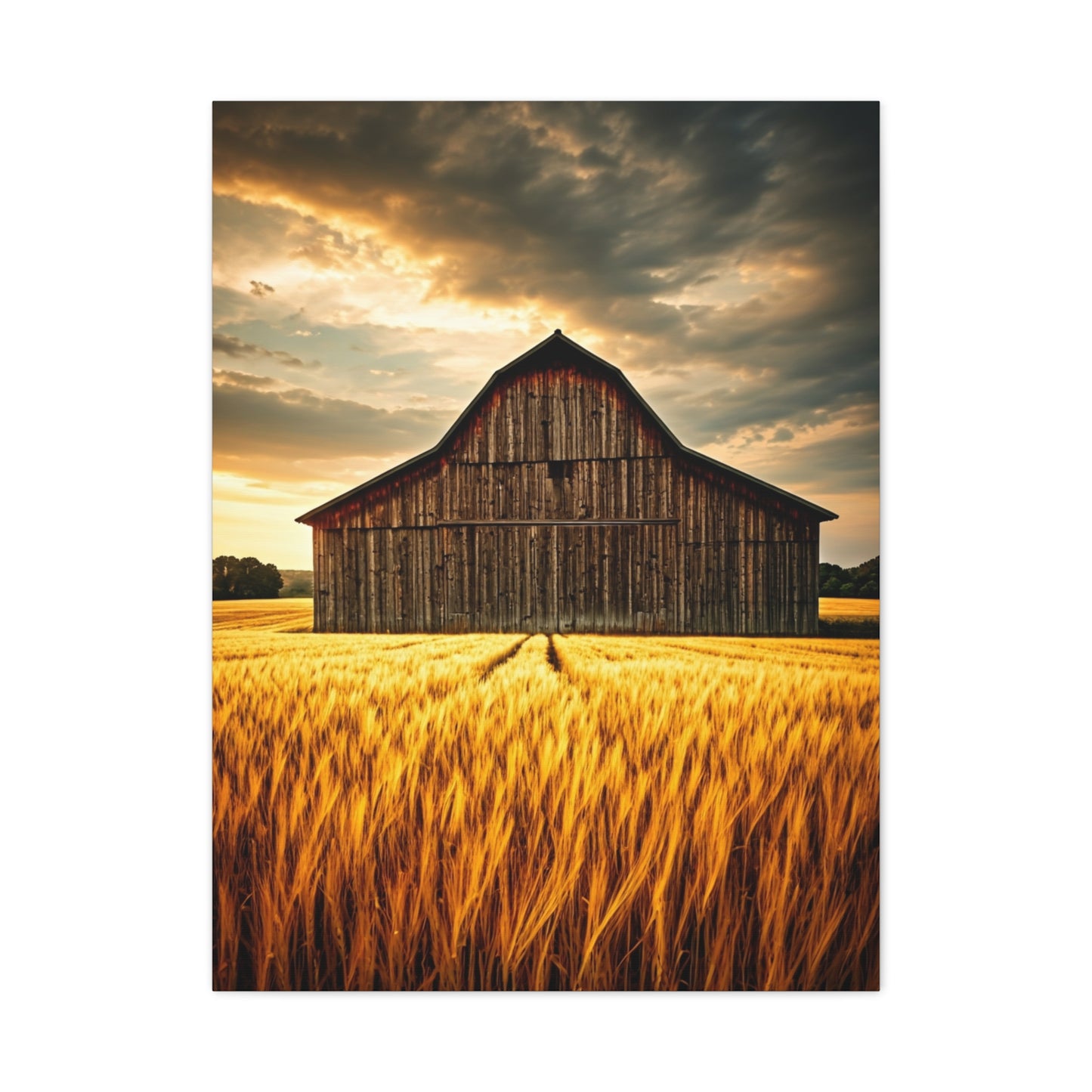 Golden Wheatfield Barn at Sunset Wall Art & Canvas Prints