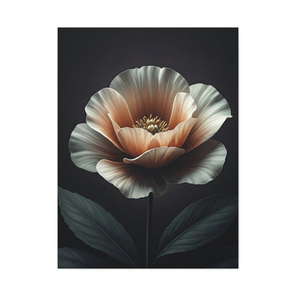 Single Bloom Elegance Floral Wall Art & Canvas Prints