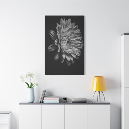 Side Profile Dahlia Bloom Wall Art & Canvas Prints