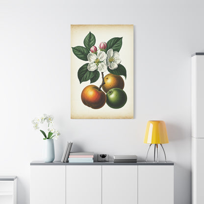 Citrus Fruit Illustration Wall Art & Canvas Prints