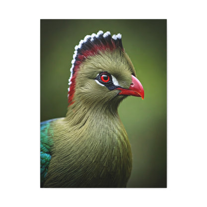 Emerald Crested Turaco Portrait Wall Art & Canvas Prints