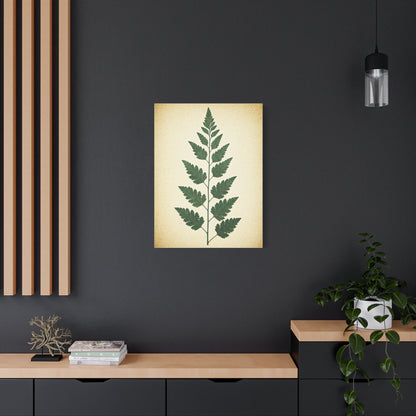Vintage Fern Study Wall Art & Canvas Prints