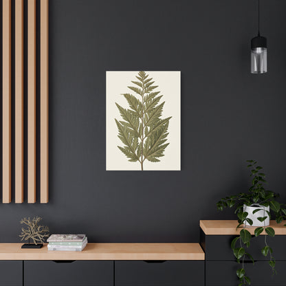 Classic Fern Illustration Wall Art & Canvas Prints